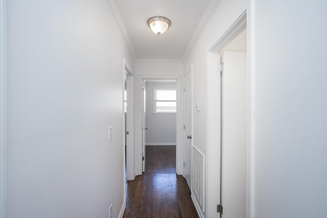 hall featuring ornamental molding and dark hardwood / wood-style flooring