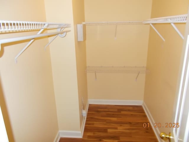 walk in closet featuring hardwood / wood-style floors