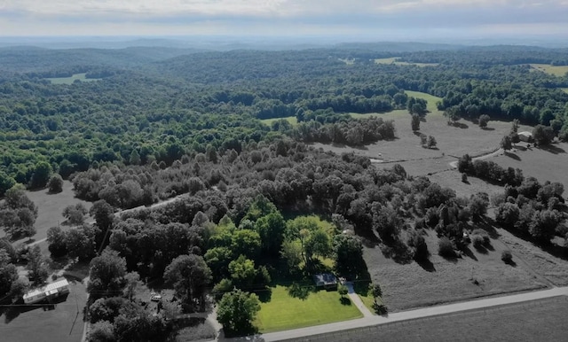 3352 Dumor Deer Lick Rd, Lewisburg, KY 42256 - aerial view