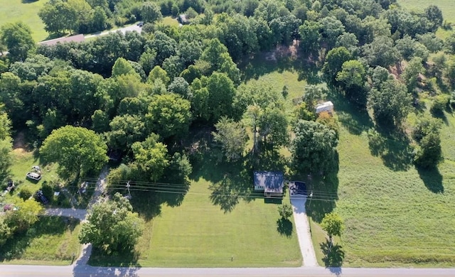 3352 Dumor Deer Lick Rd, Lewisburg, KY 42256 - drone / aerial view