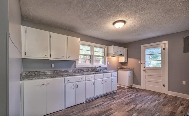 3352 Dumor Deer Lick Rd, Lewisburg, KY 42256 - kitchen with a textured ceiling, hardwood / wood-style flooring, white cabinets, and sink