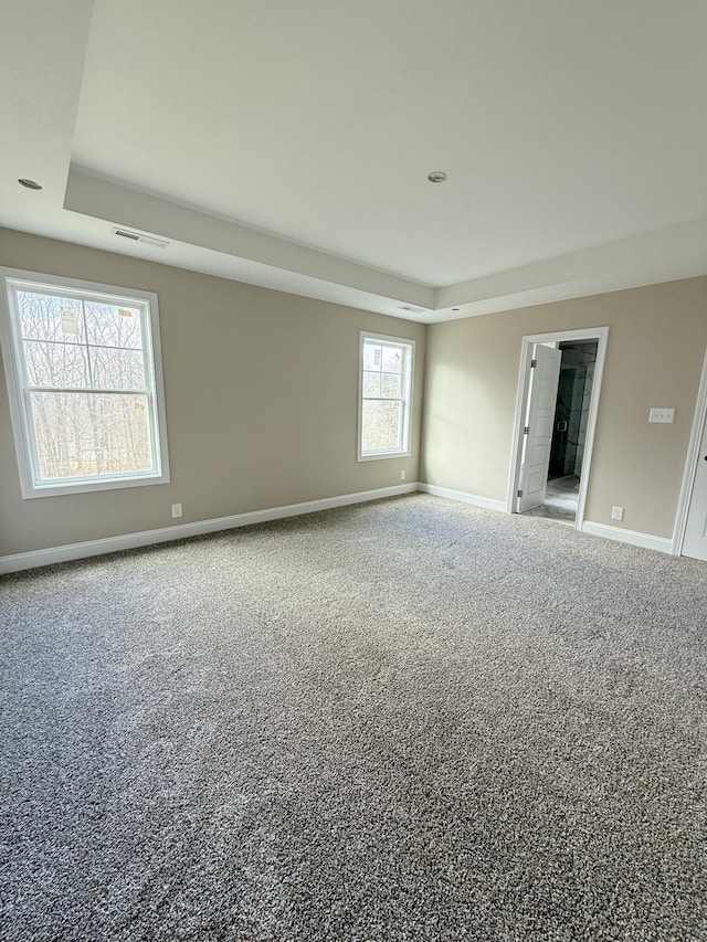 unfurnished room with a tray ceiling and carpet