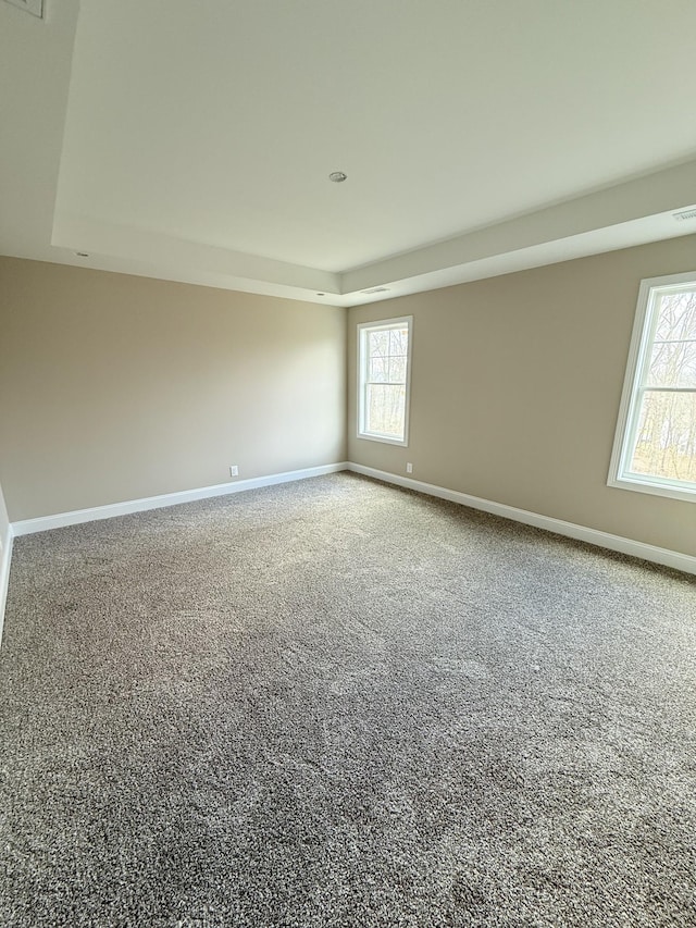 empty room featuring a tray ceiling and carpet