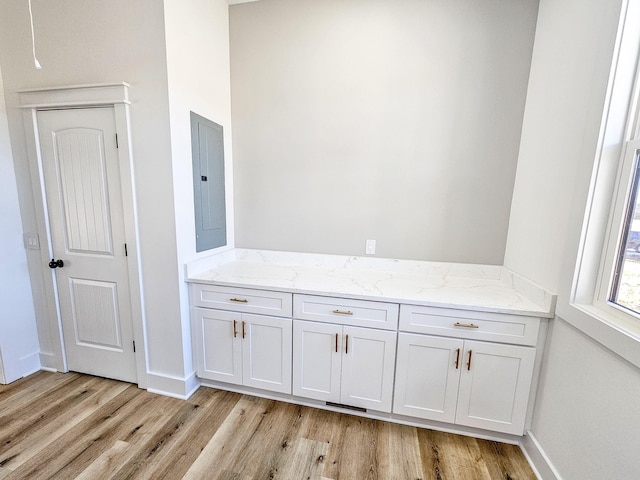 details with electric panel and hardwood / wood-style flooring