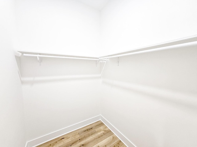 spacious closet featuring hardwood / wood-style flooring