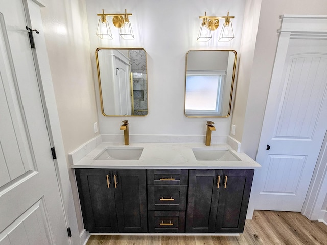 bathroom with hardwood / wood-style flooring and vanity