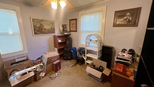 miscellaneous room featuring light carpet, ceiling fan, plenty of natural light, and ornamental molding