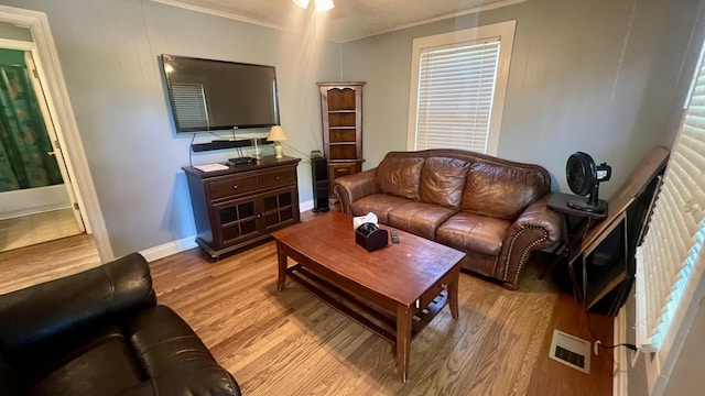 living room with light wood-type flooring and crown molding