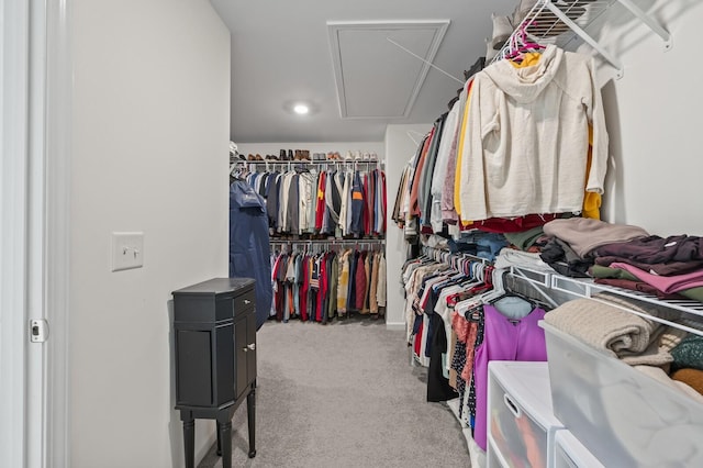 spacious closet featuring carpet