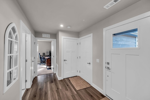 foyer entrance featuring dark wood-type flooring