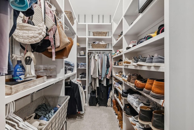 walk in closet featuring light carpet