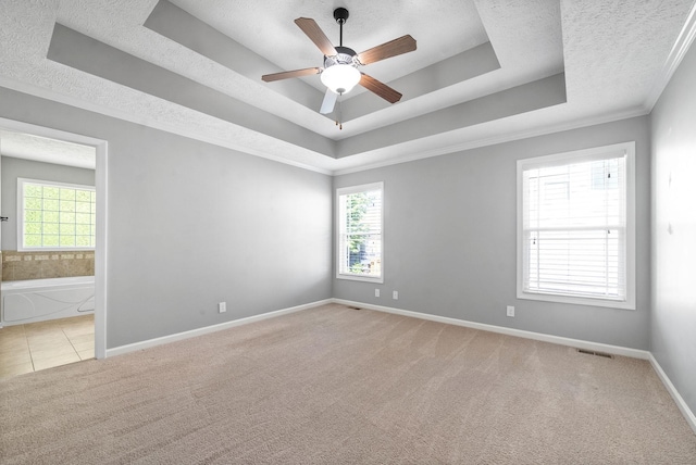 spare room featuring light colored carpet, a textured ceiling, a tray ceiling, and plenty of natural light