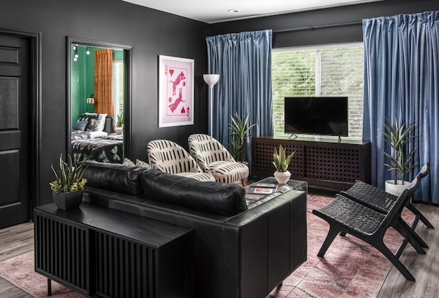 living room with hardwood / wood-style flooring