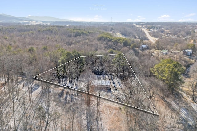 birds eye view of property featuring a mountain view