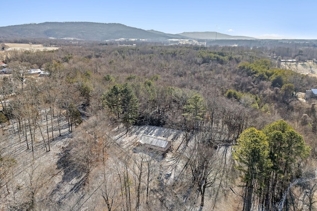 drone / aerial view with a mountain view