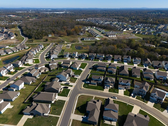 drone / aerial view