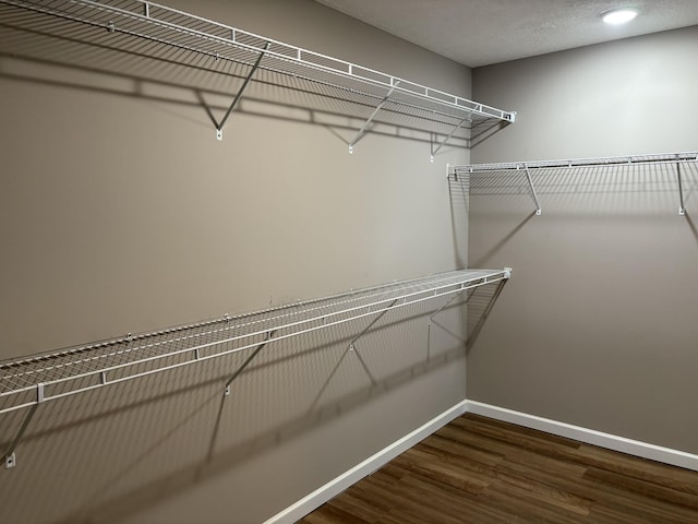 walk in closet featuring dark hardwood / wood-style flooring