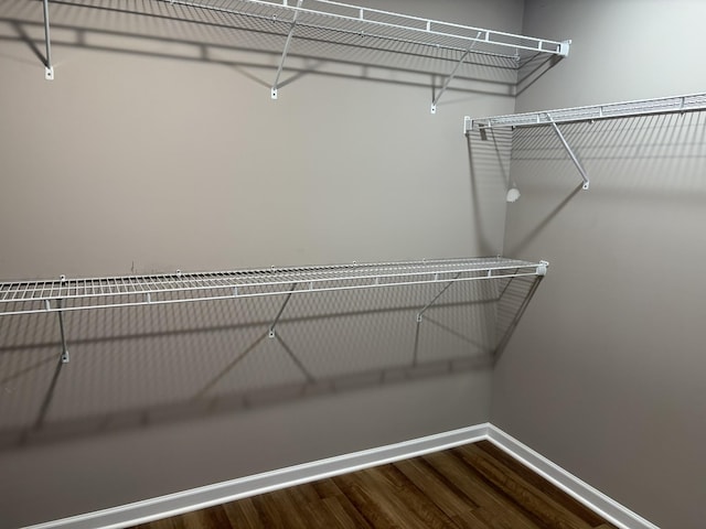 spacious closet featuring dark wood-style floors