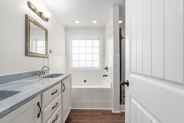 bathroom with vanity, wood-type flooring, and a washtub