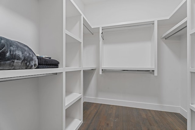 spacious closet with dark hardwood / wood-style flooring