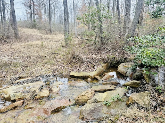 view of landscape