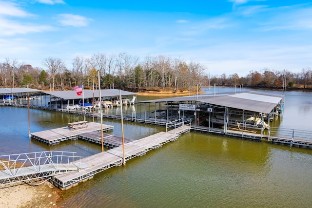 dock area with a water view