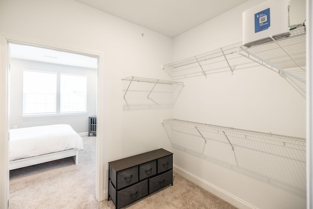 spacious closet with light carpet