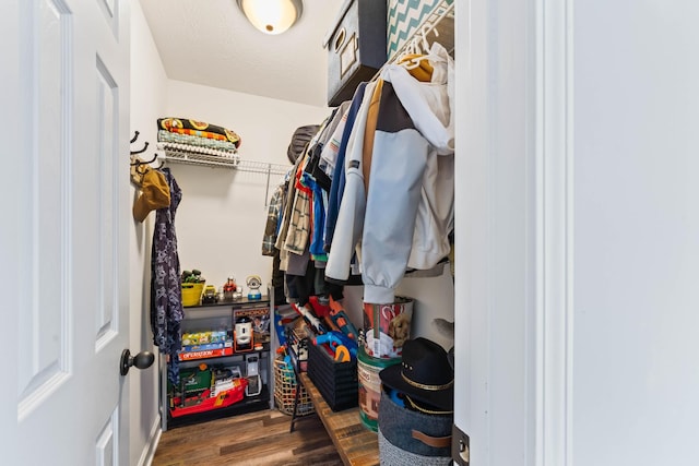 spacious closet featuring dark hardwood / wood-style floors