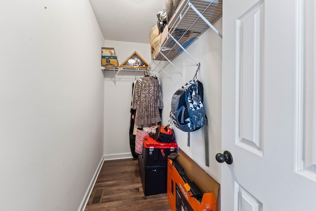 spacious closet with dark wood-type flooring