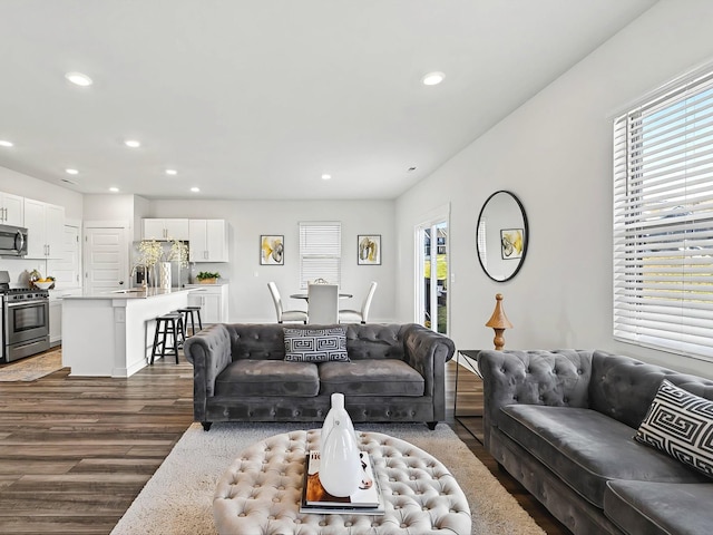 living room featuring dark hardwood / wood-style floors