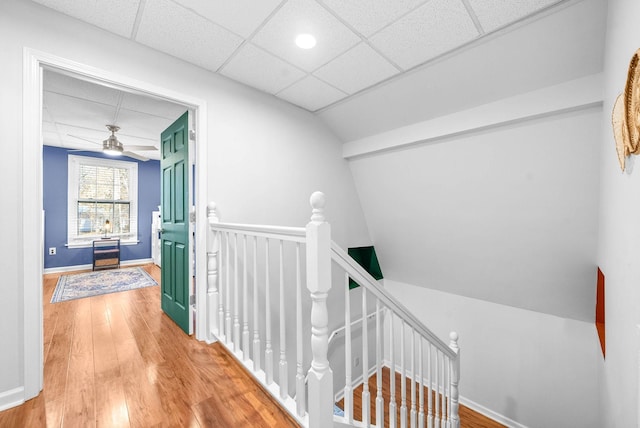 hallway featuring a paneled ceiling and wood-type flooring