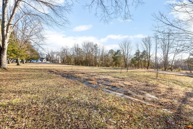 view of yard featuring a rural view