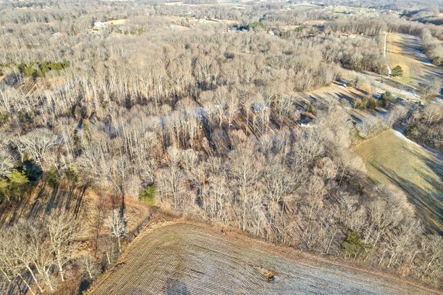 drone / aerial view with a rural view