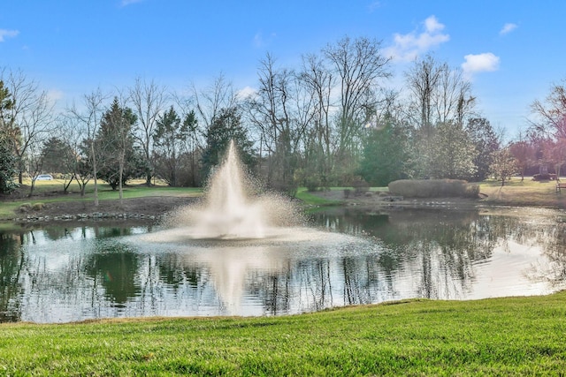 property view of water