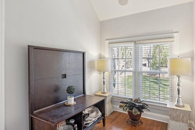 home office featuring lofted ceiling, a healthy amount of sunlight, and hardwood / wood-style flooring