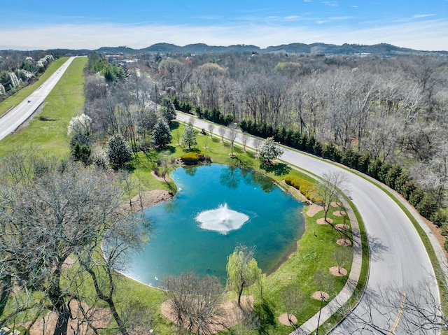 aerial view with a water and mountain view