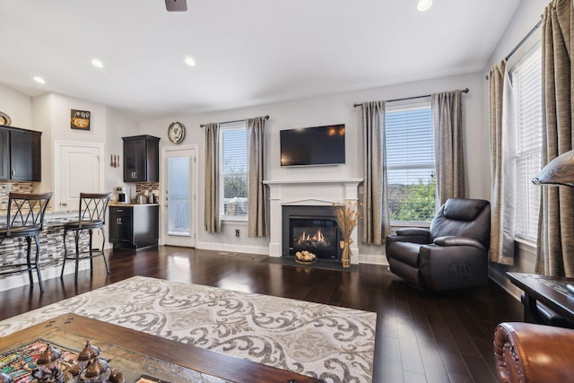 living room with dark hardwood / wood-style floors