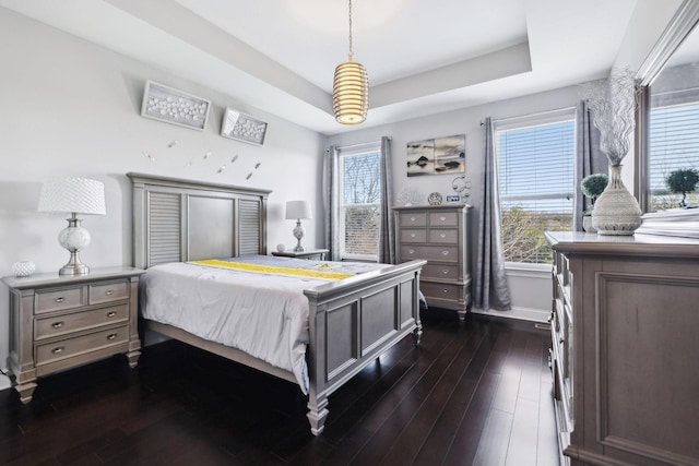 bedroom with multiple windows, a tray ceiling, and dark hardwood / wood-style flooring