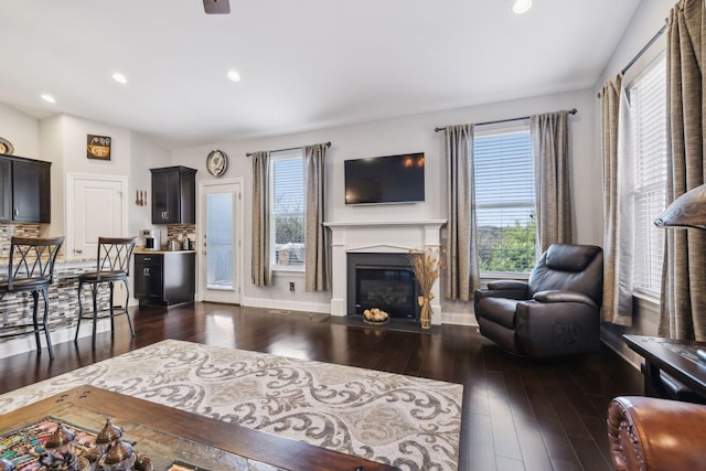 living room featuring dark hardwood / wood-style flooring