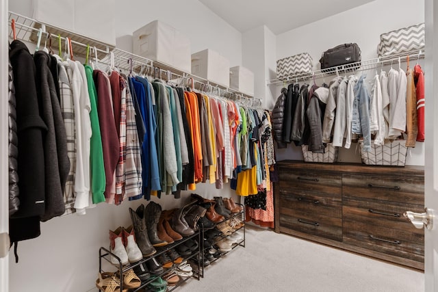 walk in closet with carpet floors