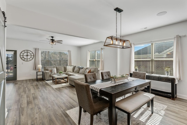 dining area featuring a healthy amount of sunlight, hardwood / wood-style floors, and ceiling fan