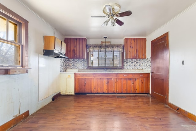 kitchen featuring crown molding, dark wood-type flooring, and backsplash