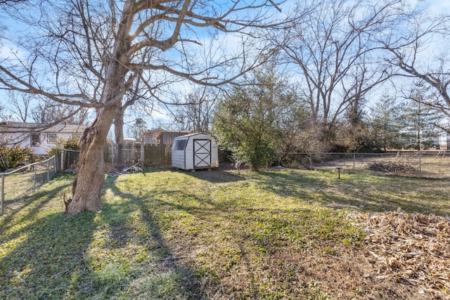 view of yard with a storage shed