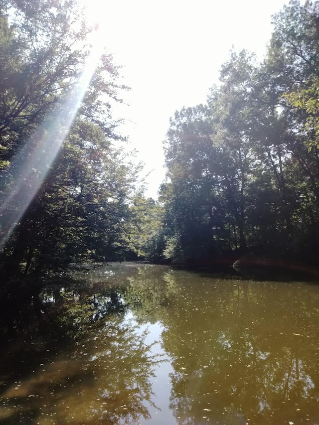 Listing photo 3 for 0 Boat Ramp Ln, Decaturville TN 38329