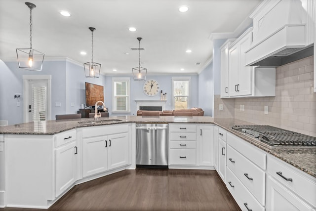 kitchen with pendant lighting, appliances with stainless steel finishes, sink, premium range hood, and kitchen peninsula