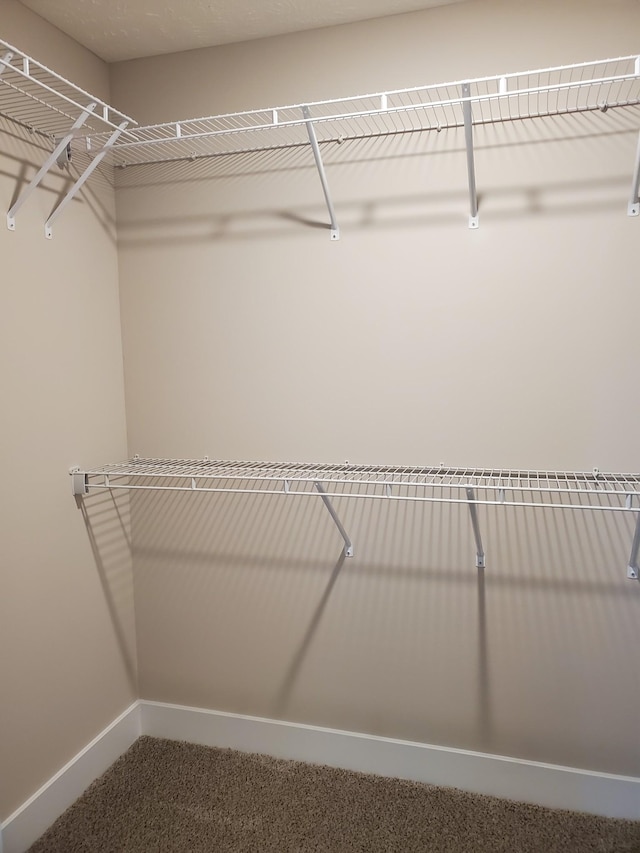 spacious closet with carpet floors