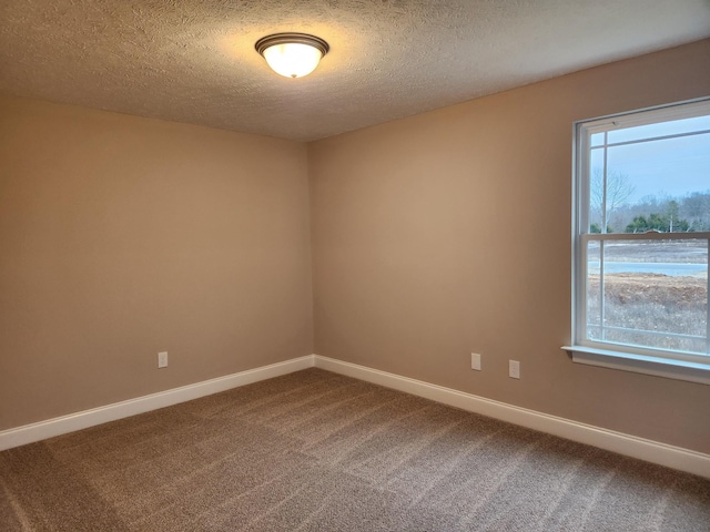 carpeted empty room with a textured ceiling and a healthy amount of sunlight