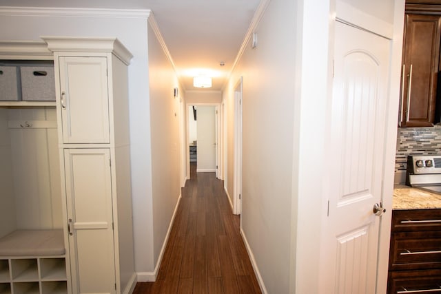 corridor featuring dark hardwood / wood-style floors and ornamental molding