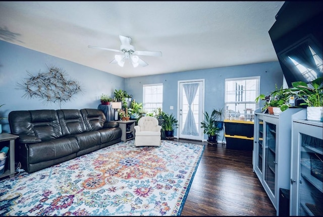 living room with ceiling fan, a wealth of natural light, and dark hardwood / wood-style floors