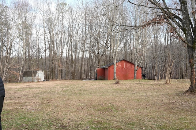 view of yard with a shed